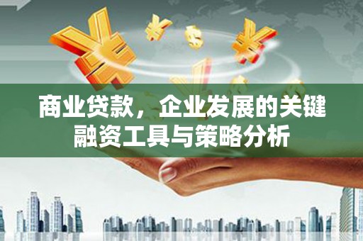 望城商业贷款，企业发展的关键融资工具与策略分析