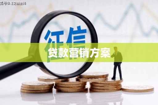 望城贷款营销方案