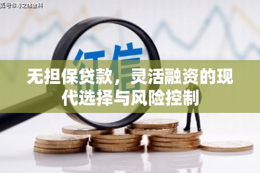 望城无担保贷款，灵活融资的现代选择与风险控制