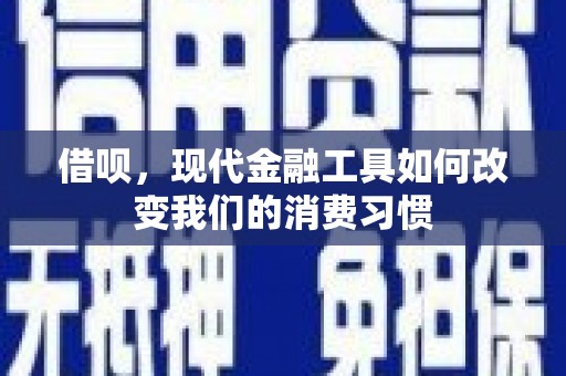 望城借呗，现代金融工具如何改变我们的消费习惯