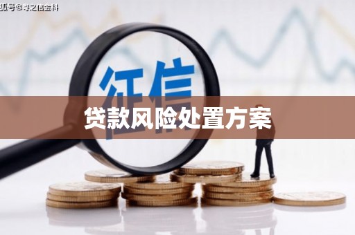 望城贷款风险处置方案