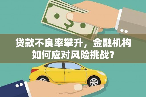 望城贷款不良率攀升，金融机构如何应对风险挑战？