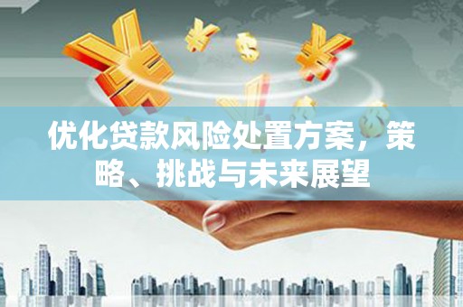 望城优化贷款风险处置方案，策略、挑战与未来展望