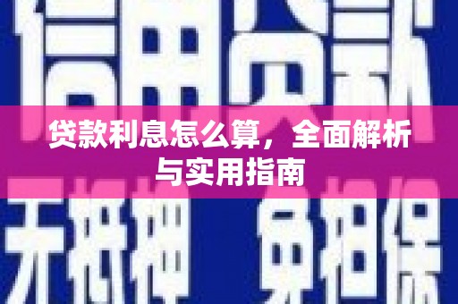 望城贷款利息怎么算，全面解析与实用指南