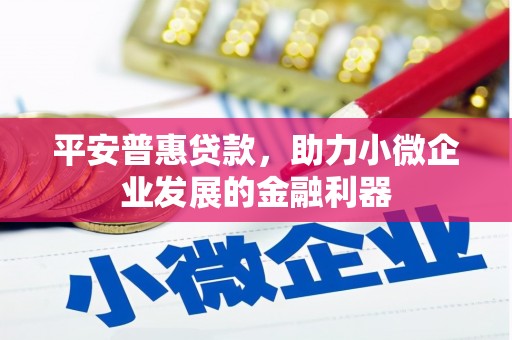 望城平安普惠贷款，助力小微企业发展的金融利器