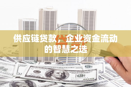 望城供应链贷款，企业资金流动的智慧之选