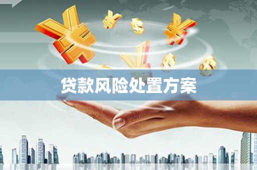 望城贷款风险处置方案