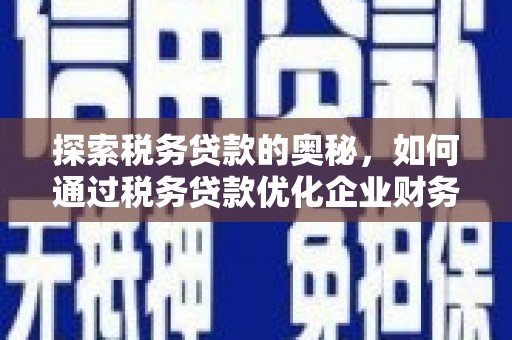 望城探索税务贷款的奥秘，如何通过税务贷款优化企业财务