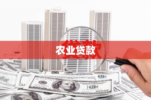 望城农业贷款