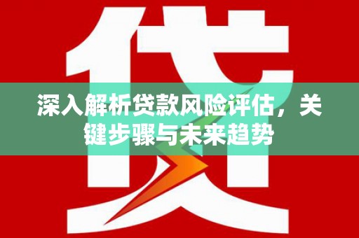 望城深入解析贷款风险评估，关键步骤与未来趋势