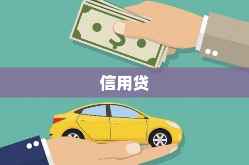 望城信用贷