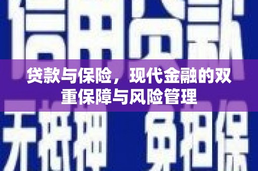 望城贷款与保险，现代金融的双重保障与风险管理