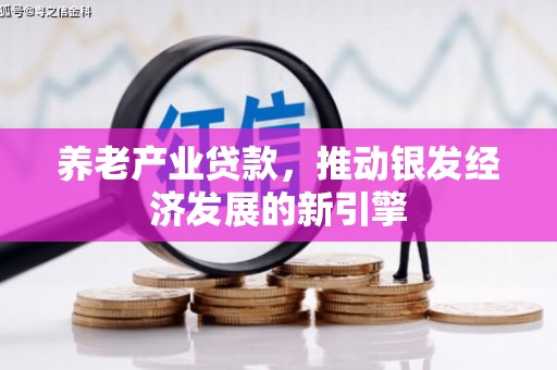 望城养老产业贷款，推动银发经济发展的新引擎
