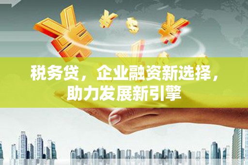 望城税务贷，企业融资新选择，助力发展新引擎
