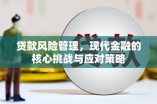 望城贷款风险管理，现代金融的核心挑战与应对策略