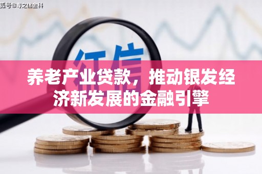 望城养老产业贷款，推动银发经济新发展的金融引擎