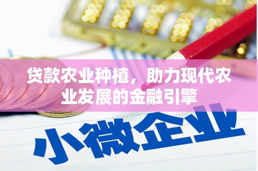 望城贷款农业种植，助力现代农业发展的金融引擎