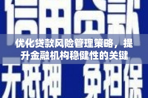 望城优化贷款风险管理策略，提升金融机构稳健性的关键