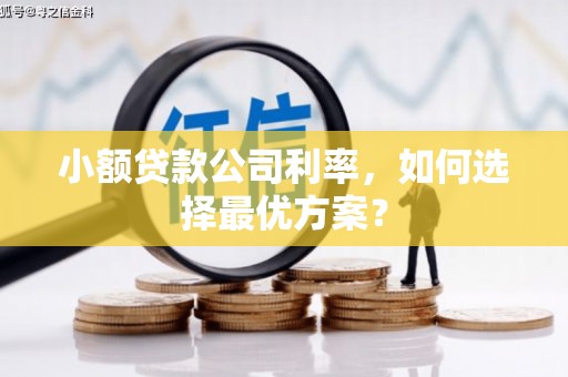望城小额贷款公司利率，如何选择最优方案？