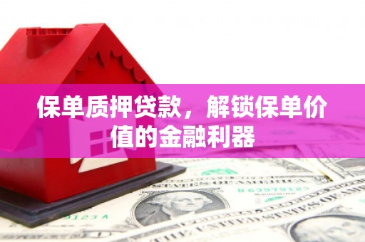 望城保单质押贷款，解锁保单价值的金融利器