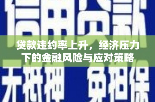 望城贷款违约率上升，经济压力下的金融风险与应对策略