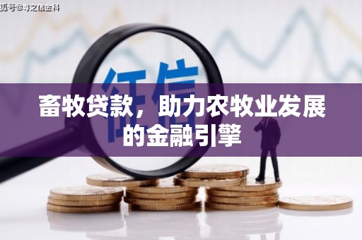 望城畜牧贷款，助力农牧业发展的金融引擎