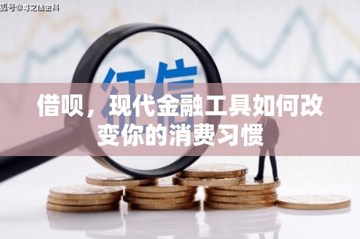 望城借呗，现代金融工具如何改变你的消费习惯
