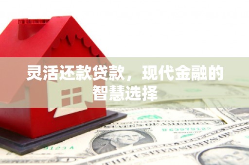 望城灵活还款贷款，现代金融的智慧选择