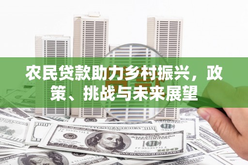 望城农民贷款助力乡村振兴，政策、挑战与未来展望
