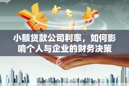 望城小额贷款公司利率，如何影响个人与企业的财务决策