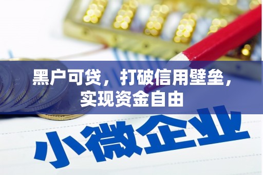 望城黑户可贷，打破信用壁垒，实现资金自由