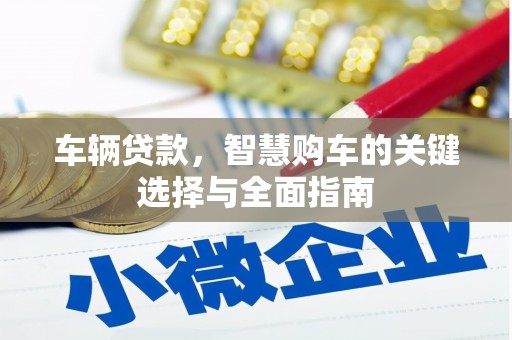 望城车辆贷款，智慧购车的关键选择与全面指南