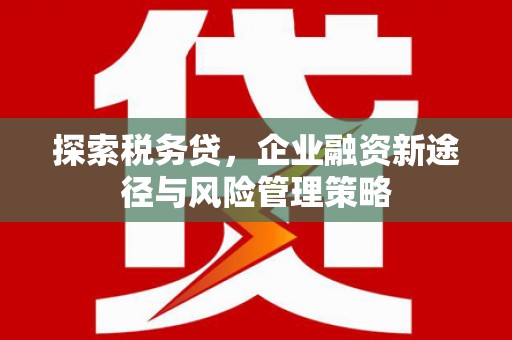 望城探索税务贷，企业融资新途径与风险管理策略