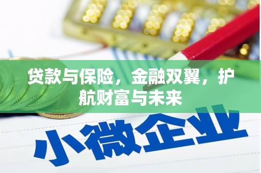 望城贷款与保险，金融双翼，护航财富与未来