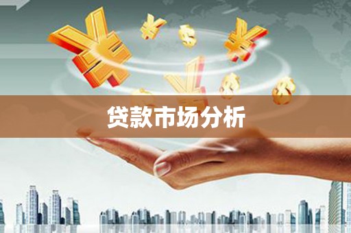 望城贷款市场分析