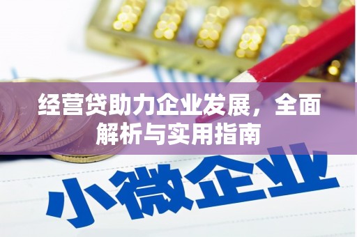 望城经营贷助力企业发展，全面解析与实用指南