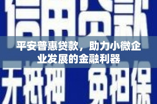 望城平安普惠贷款，助力小微企业发展的金融利器