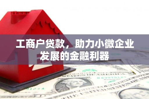 望城工商户贷款，助力小微企业发展的金融利器