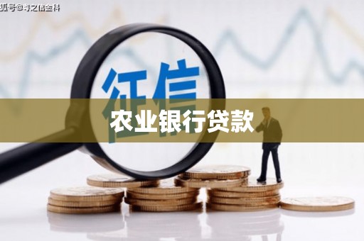 望城农业银行贷款