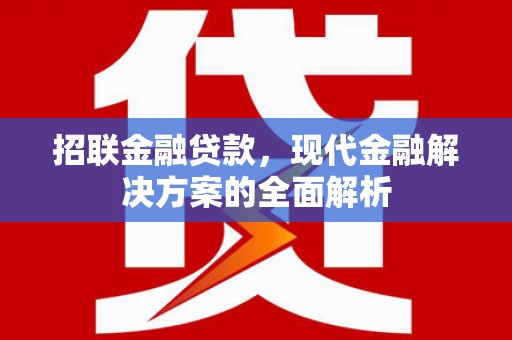 望城招联金融贷款，现代金融解决方案的全面解析
