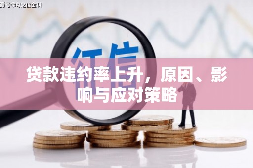望城贷款违约率上升，原因、影响与应对策略