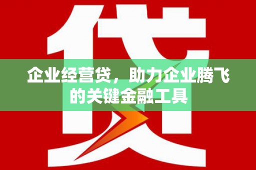 望城企业经营贷，助力企业腾飞的关键金融工具