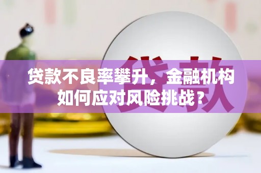 望城贷款不良率攀升，金融机构如何应对风险挑战？
