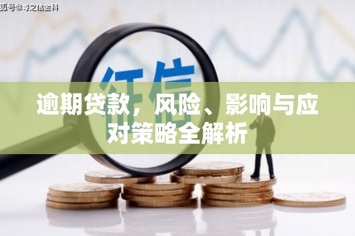 望城逾期贷款，风险、影响与应对策略全解析