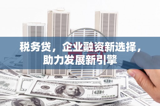 望城税务贷，企业融资新选择，助力发展新引擎