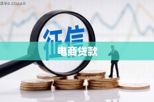 望城电商贷款