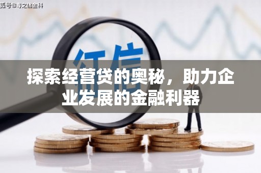 望城探索经营贷的奥秘，助力企业发展的金融利器