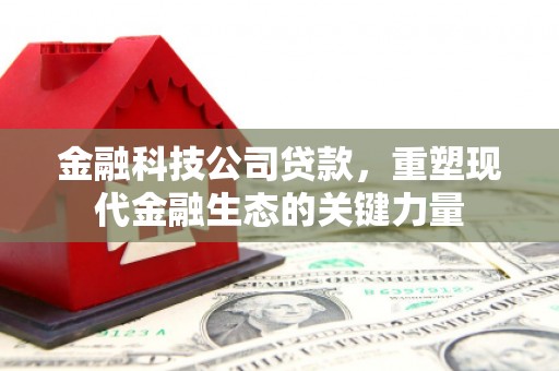 望城金融科技公司贷款，重塑现代金融生态的关键力量