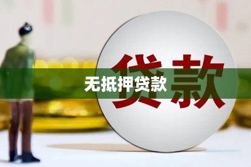 望城无抵押贷款