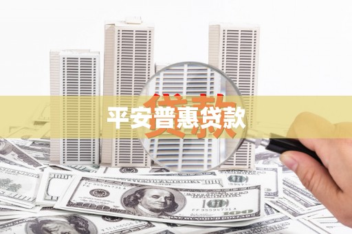 望城平安普惠贷款
